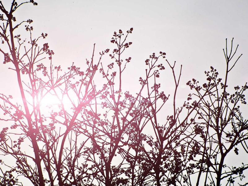 sudoku timer mode screenshot 5