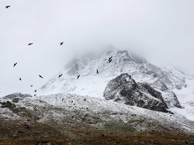 sudoku statistics screenshot 1